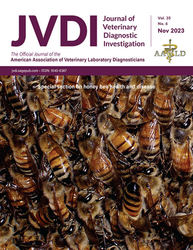 Volume 35 Issue 6, November 2023